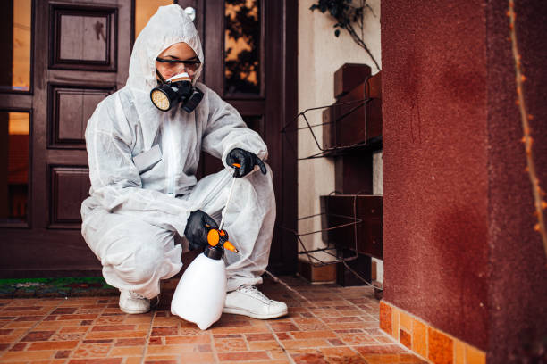 Attic and Crawl Space Rodent Treatment in Kelly Ridge